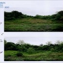 신월동195 이미지