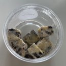 조이상사 | 인천 팔레트 디저트 마카롱 두바이 시리즈 쫀득쿠키 택배 후기