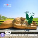 유선원축제(10월중) | 고창 청보리밭 축제 일정 가수 학원관광농원 유채꽃