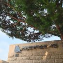 국립현대미술관 | [과천]국립현대미술관 :주말 후기 (오픈런, 주차)