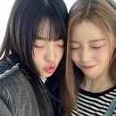 세비 이미지