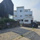 스테이 선명 이미지