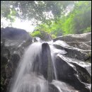 대성동입구 4 이미지