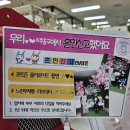 미추홀구청 본관 2청사 | 인천 미추홀구청 혼인신고 포토존 태극기증정