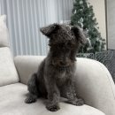 후광대로 | 남악 바크앤배스 후기｜강아지 무인목욕탕 24시 셀프 목욕 솔직 리뷰