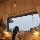 빠이책방 이미지