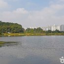 장지체육공원 족구장 이미지