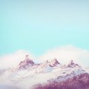 충식농장 이미지