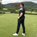 타이틀리스트 이미지