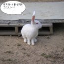 순기농장 이미지
