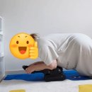 집에서도 헬스장처럼! 복근 코어 강화 뱃살 다이어트 운동기구 파티마스토어 퍼팩트 슬라이드 후기