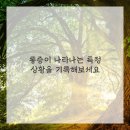 남정형외과의원 이미지