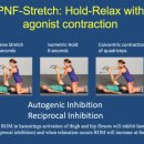 본소마메드짐운정점 이미지