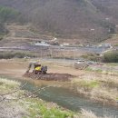 일월초등학교(청기분교) 이미지