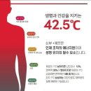 자연애뷰티