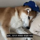 나준베이커리 이미지