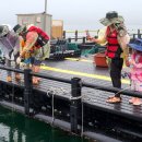 고래좌대낚시터 이미지