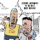 씨유 정선민둥산점 | 태백, 정선일대 (자개길, 태백 바람의언덕,만항재)