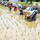 이포초등학교 이미지
