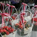 도운화원