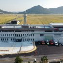 비금중학교 이미지