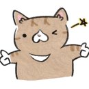 이박사카센타 이미지