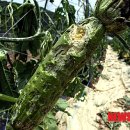 논미2리 이미지