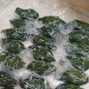 낙원모싯잎송편 이미지