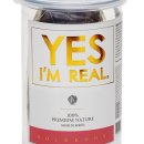 예스예스애견 이미지