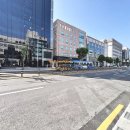 H1299 이미지