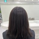 217헤어살롱 목포평화광장점