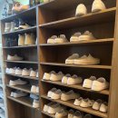 민카페 | 홍대 동물 카페 zoo민센터 후기!