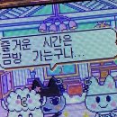 돈마니삼겹살 | 방학강릉여행기(미룬이ㅈㅅ)