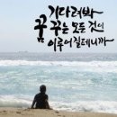 기다림 - 청송군 중앙로 249-5 | 기다림