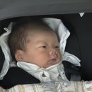 재하주유소 | 맥시코시 바구니 카시트 대여 후기