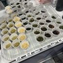 주식회사하이푸드 네이버블로그