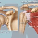 드림정형외과의원 이미지