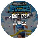 섹시한폰케이스 | 2026 싸이 흠뻑쇼 과천 1100번대 스탠딩 후기 꿀팁 준비물 입장시간
