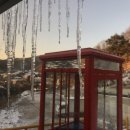 (주)샤인위드컴페니언 이미지