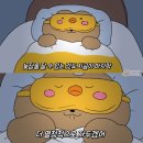 어부포차 이미지