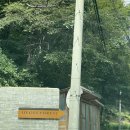 진벌목장 | [강원도/평창] 휘게포레스트 :: 숲속캠핑장/캠핑장계의 에르메스 (전사이트사진있음)