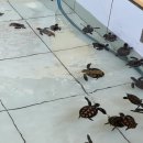 잊고 싶어도 그댄 나의 여름이 되어 ¶ 26년 6월 셋째 주