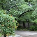 문화가 있는 날 - 그녀를 믿지 마세요 | 서울 고궁 산책코스 추천 | 문화가 있는 날 덕수궁 무료입장 후기