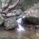 구봉산마을 Daum카페