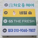 반딧불 애견 미용실 | 일산 미용실 추천 차오룸헤어 레이어드 펌 솔직 후기