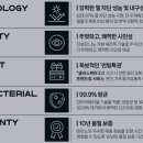 레이노글라스틴트도화점