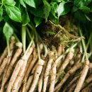 다울농장 이미지