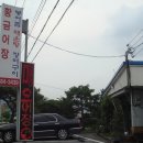 황금어장 이미지