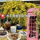 경주 목향장미 카페: 봄갤러리 카페 포토존, 오픈런 5월 초 방문 후기