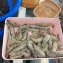 영덕회수산센타 이미지